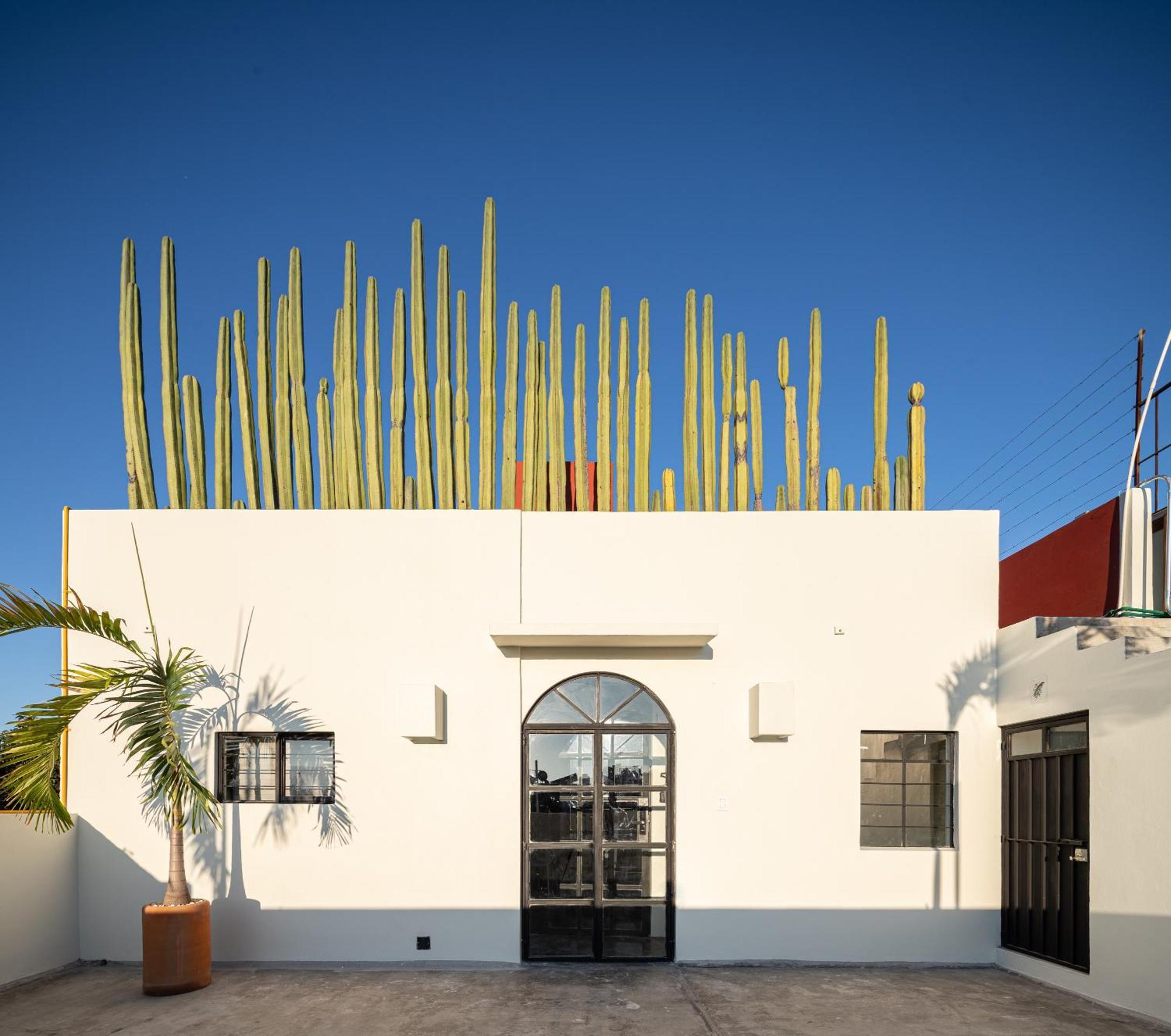 Casa Lumos - Minimalist Comfort Suites In Centro Historico Oaxaca Kültér fotó