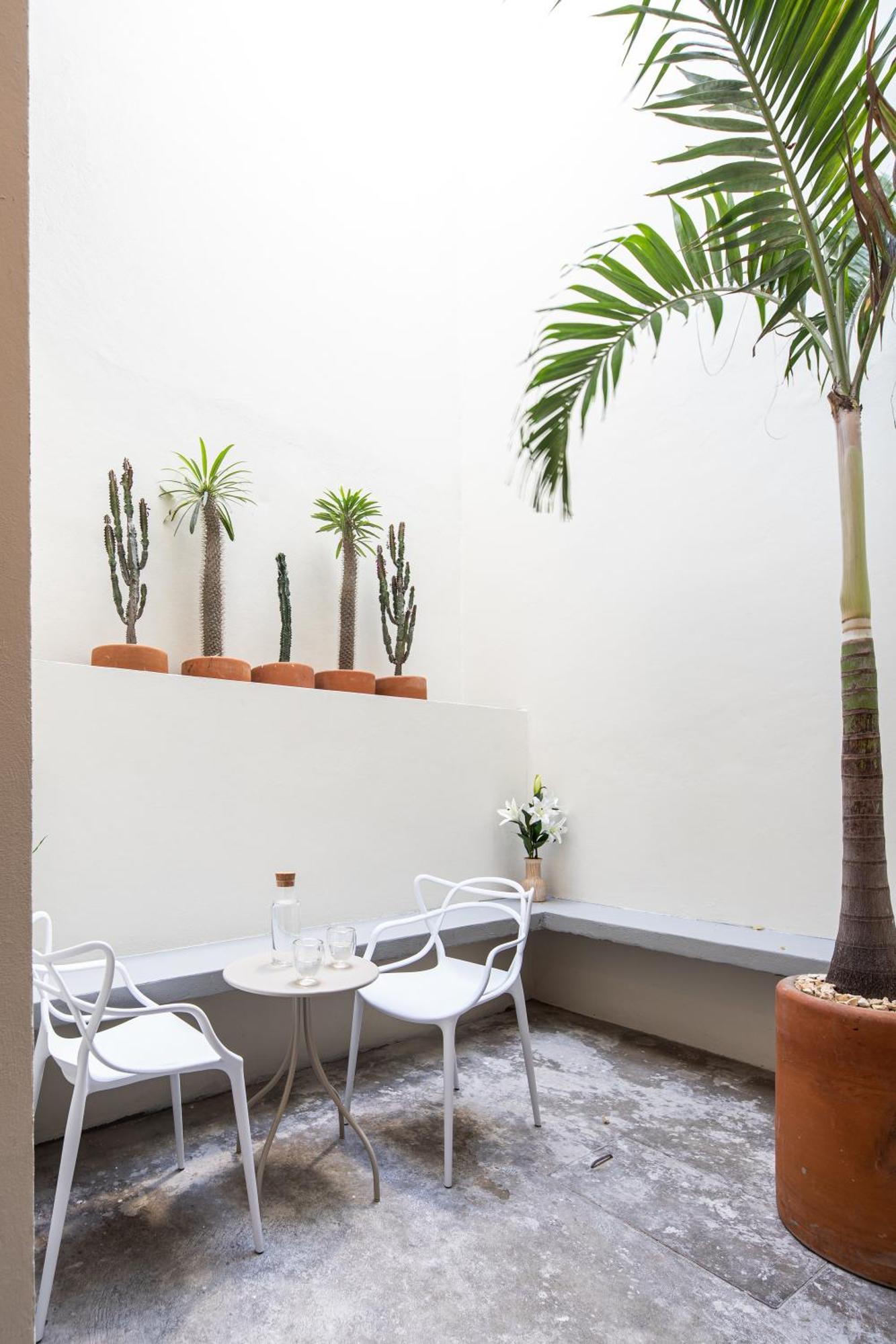Casa Lumos - Minimalist Comfort Suites In Centro Historico Oaxaca Kültér fotó