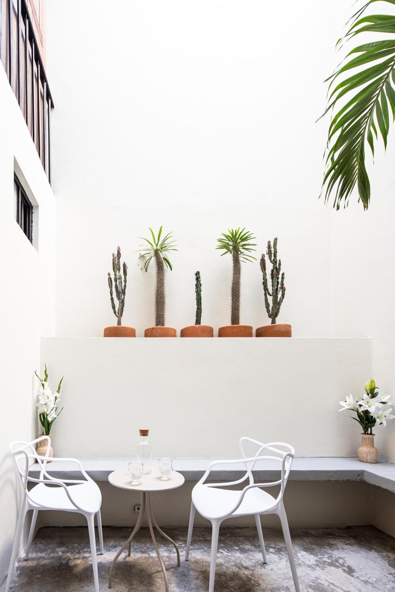Casa Lumos - Minimalist Comfort Suites In Centro Historico Oaxaca Kültér fotó